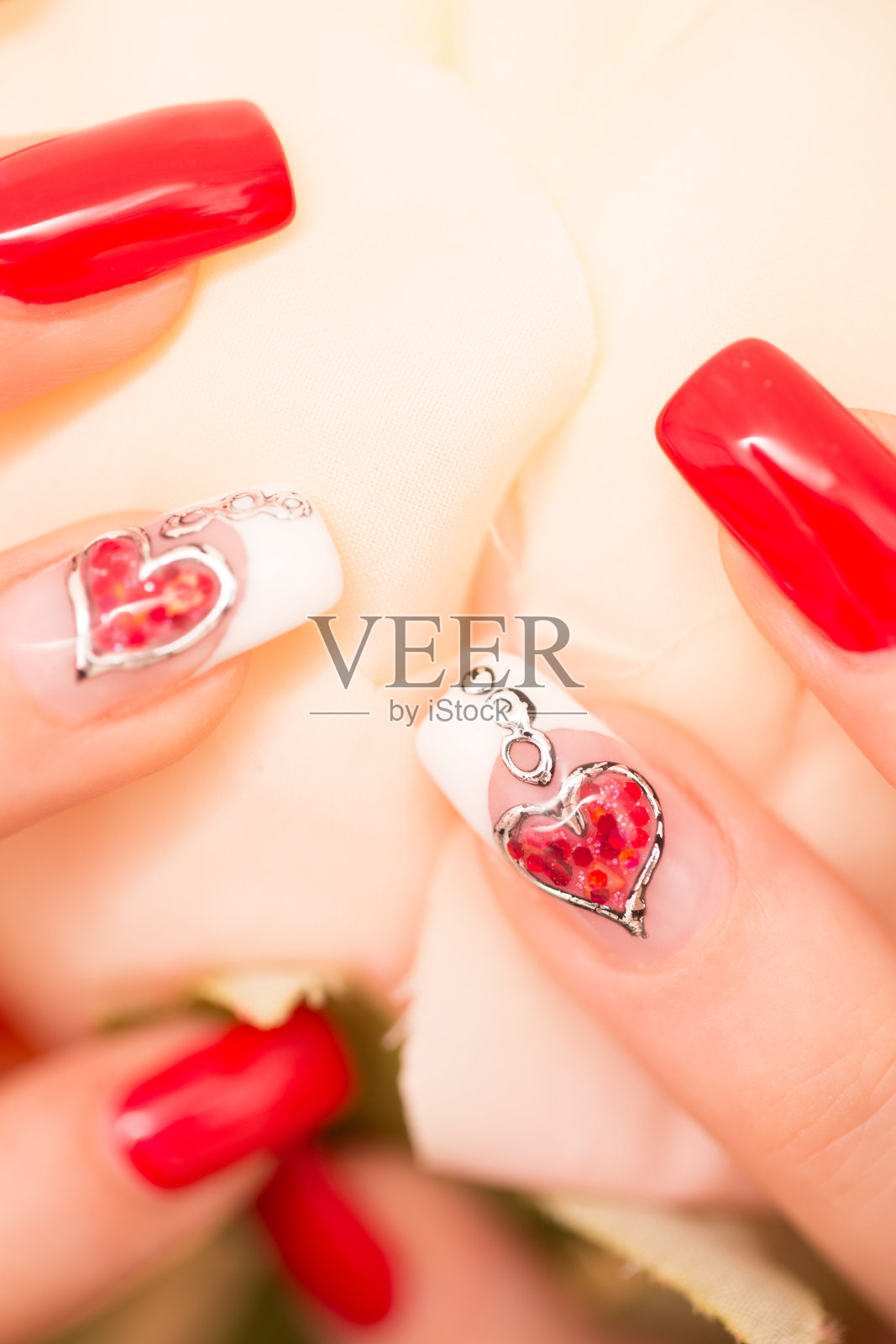 手与抛光指甲拿着白玫瑰照片摄影图片