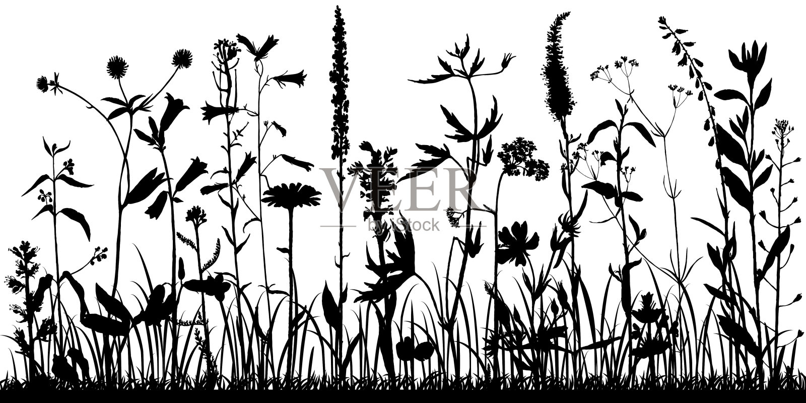 背景与绘制草本和花卉插画图片素材