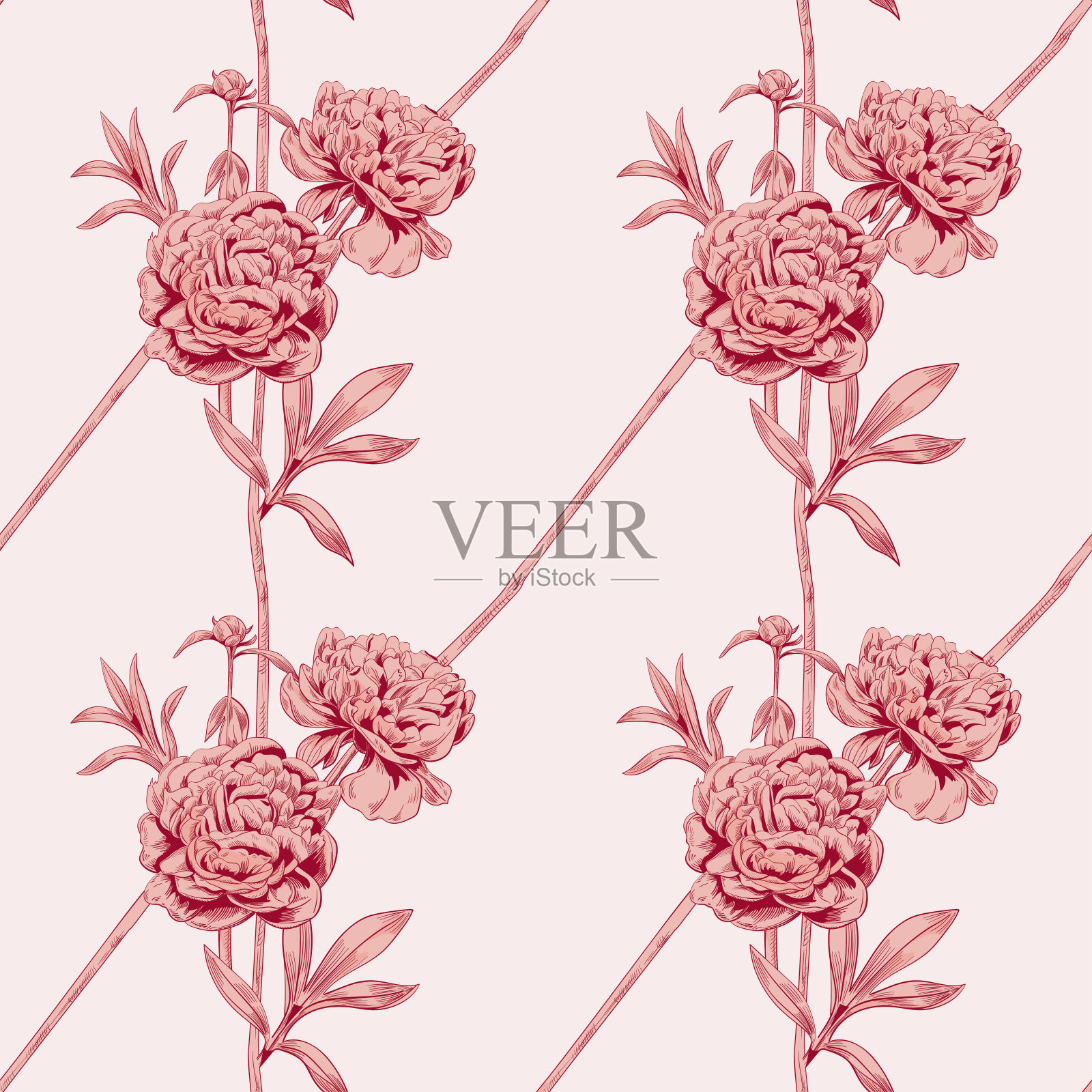 矢量方形花无缝模式与红色单色牡丹花,芽,茎,叶在粉红色的背景,数字绘制插图在雕刻复古风格,素描,矢量插画图片素材