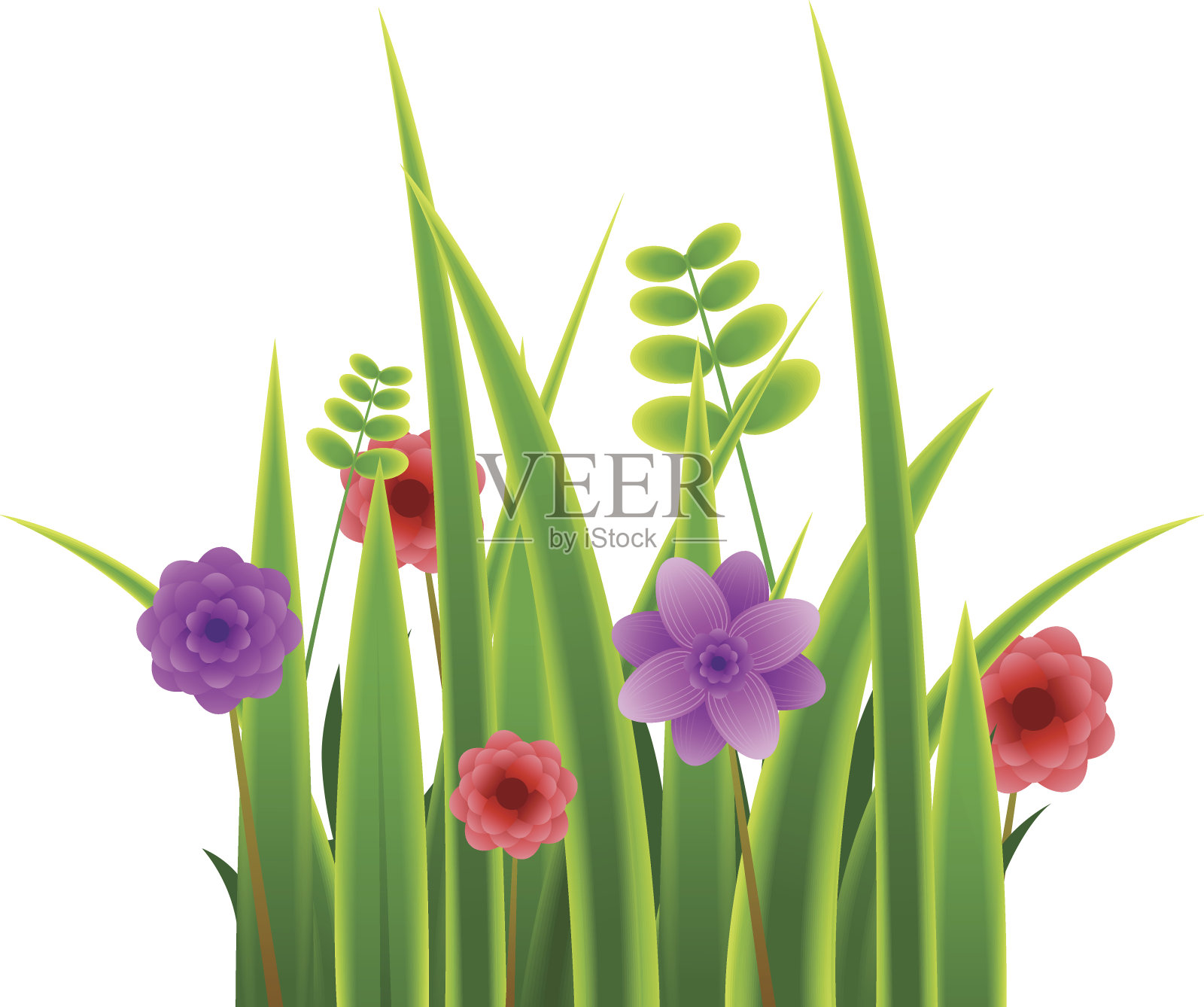 春天草地孤立插画图片素材