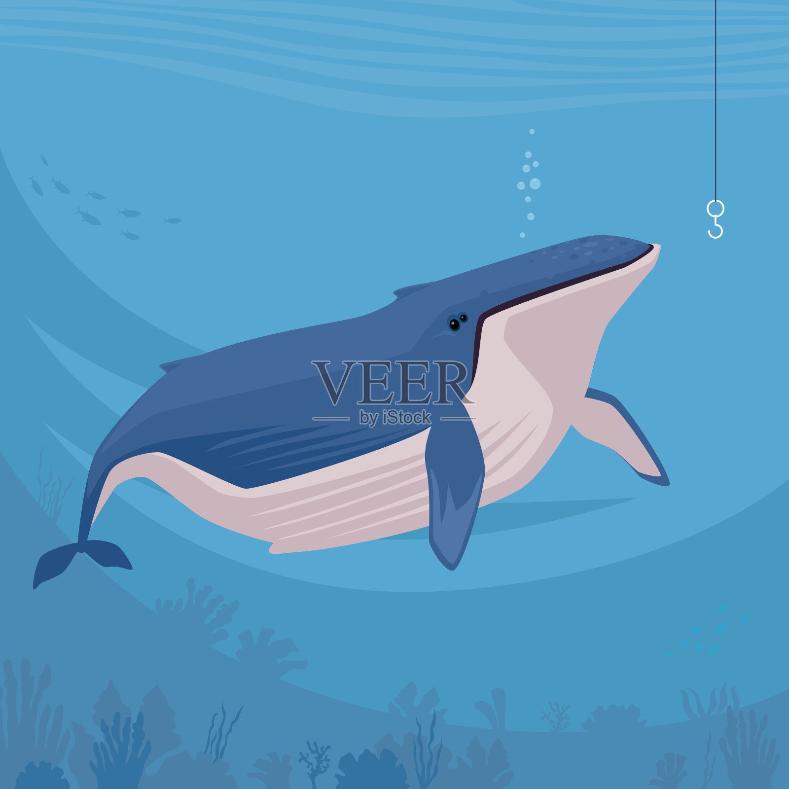 鲸鱼设计元素图片