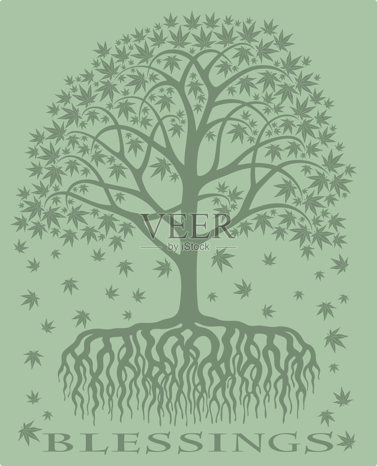 祝福日本枫树插画图片素材