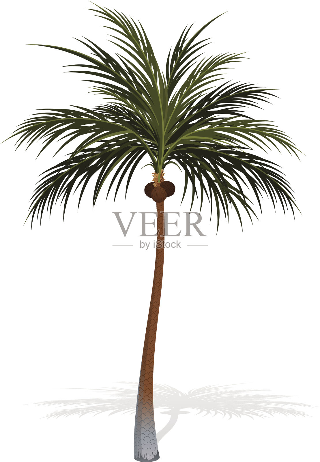 棕榈树设计元素图片
