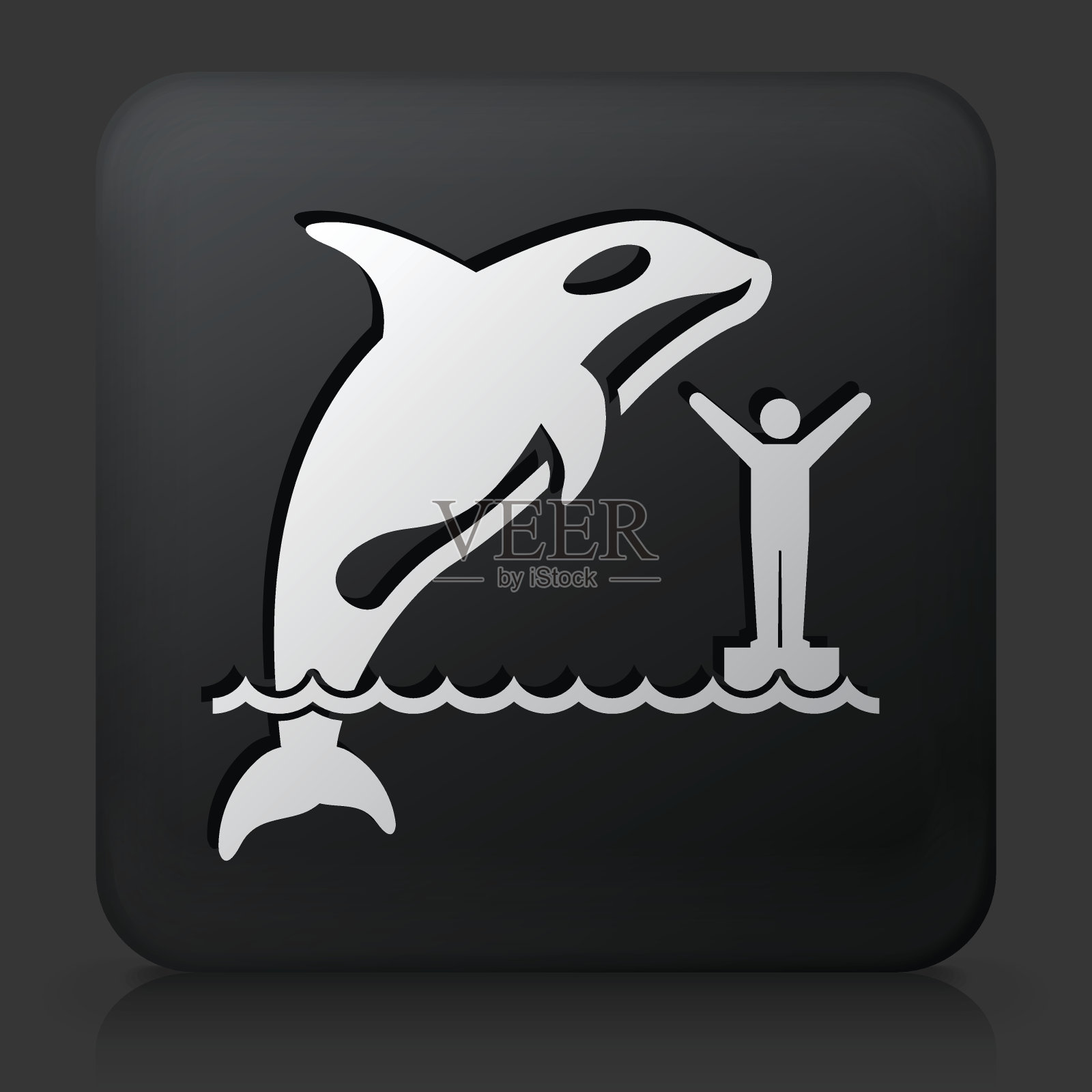 黑色方块按钮与虎鲸插画图片素材