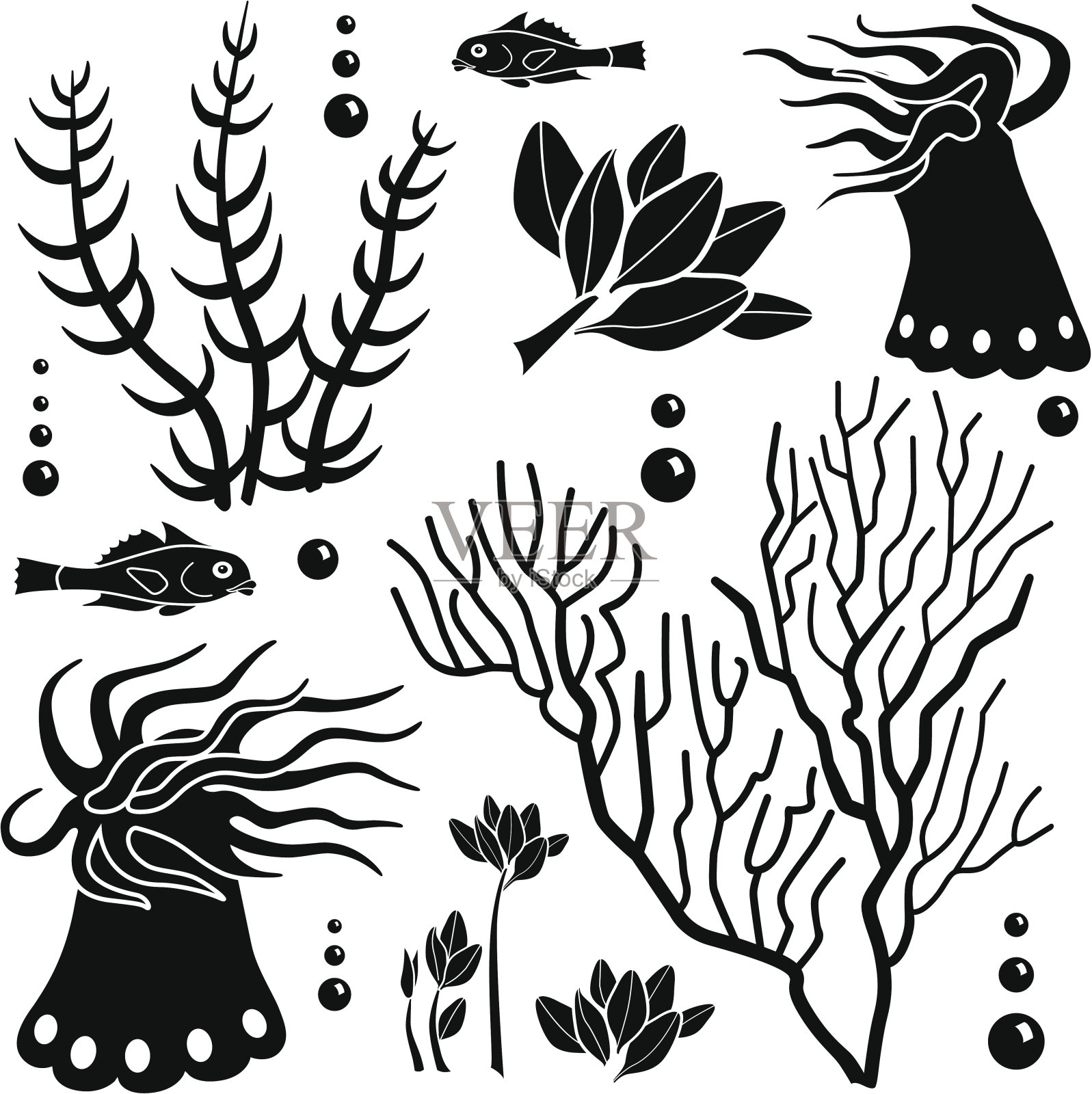 海洋生物设计元素插画图片素材