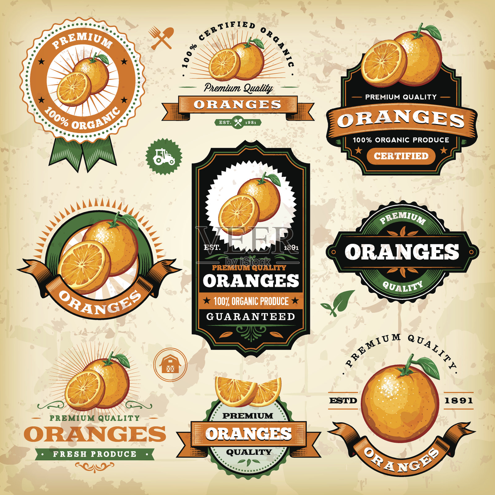 的橙子标签插画图片素材