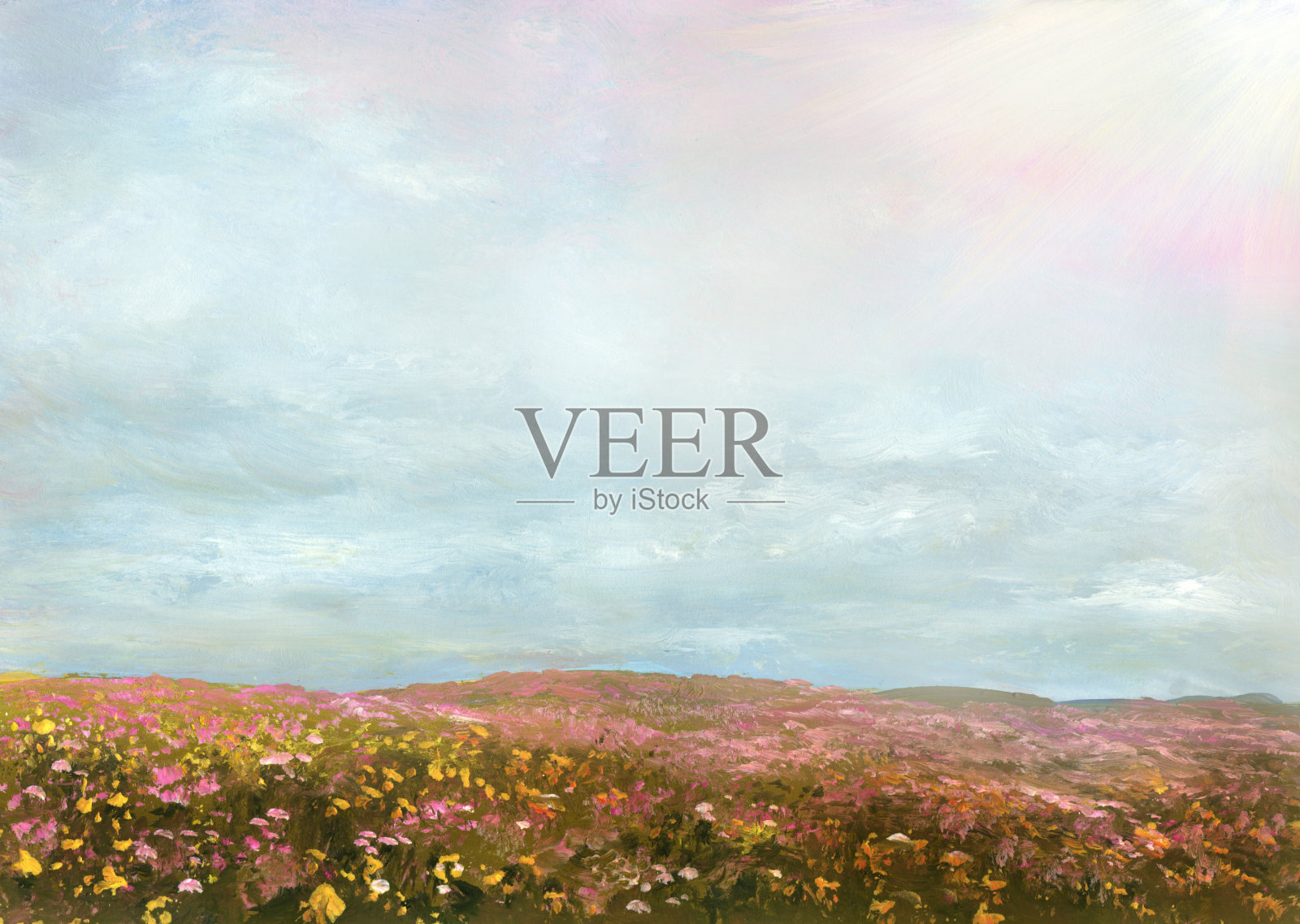 夏天盛开的草地插画图片素材