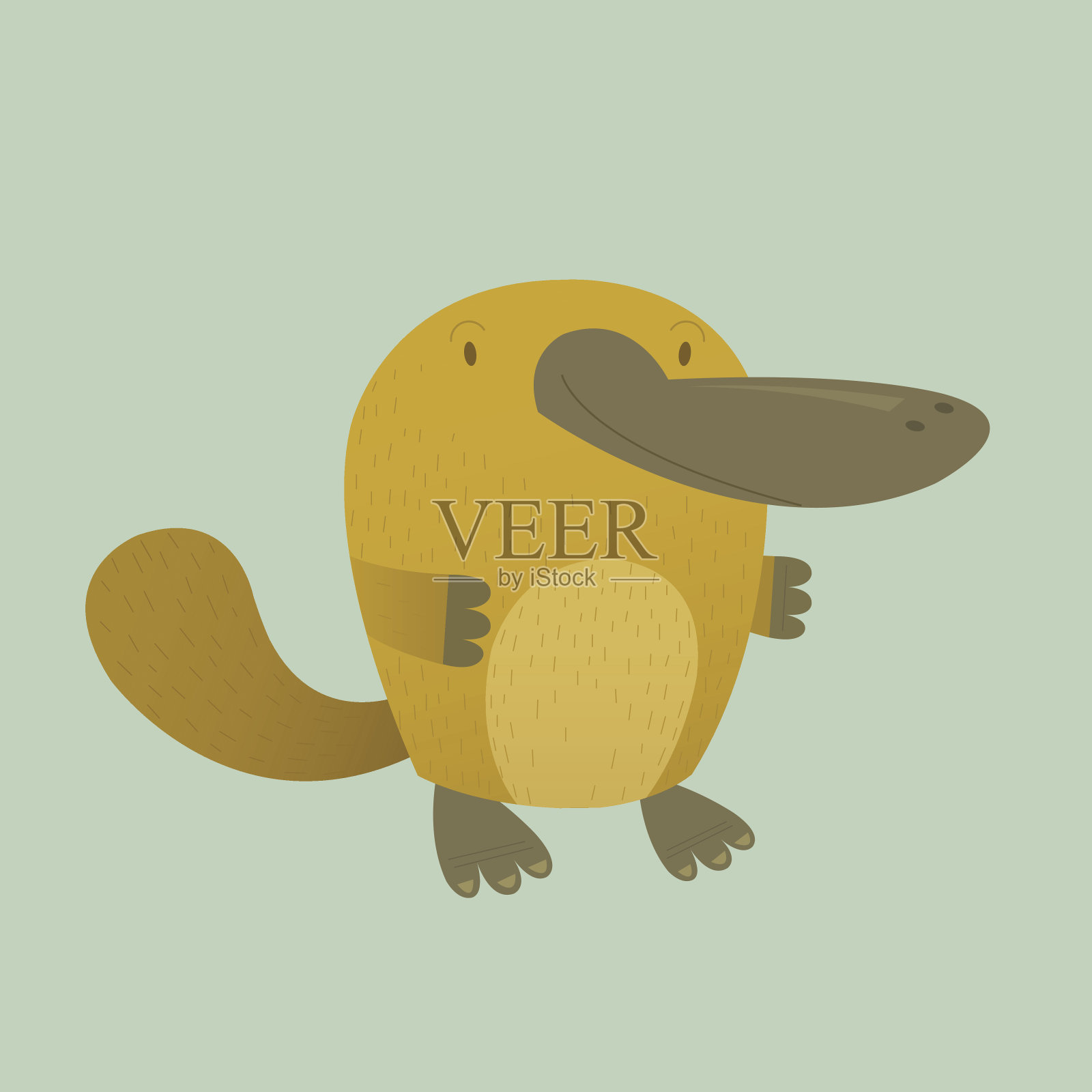 鸭嘴兽设计元素图片