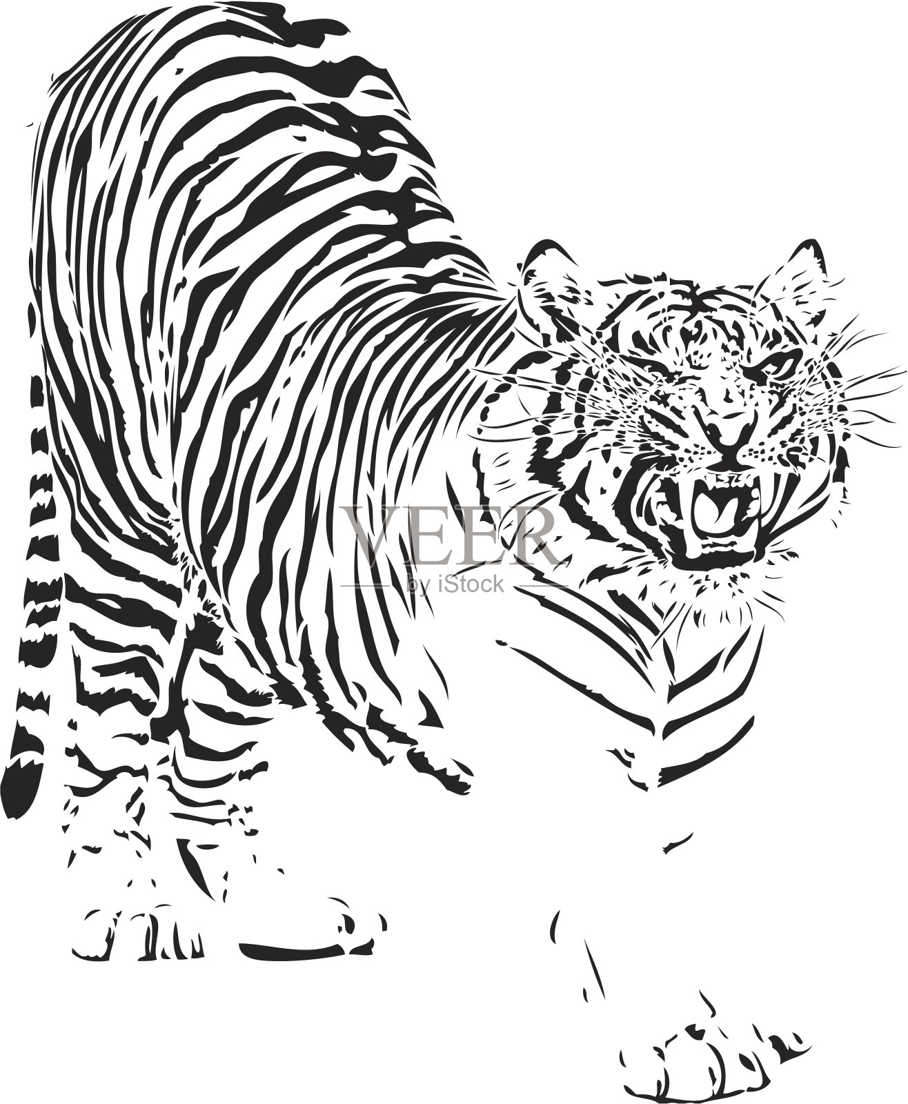 老虎插图插画图片素材