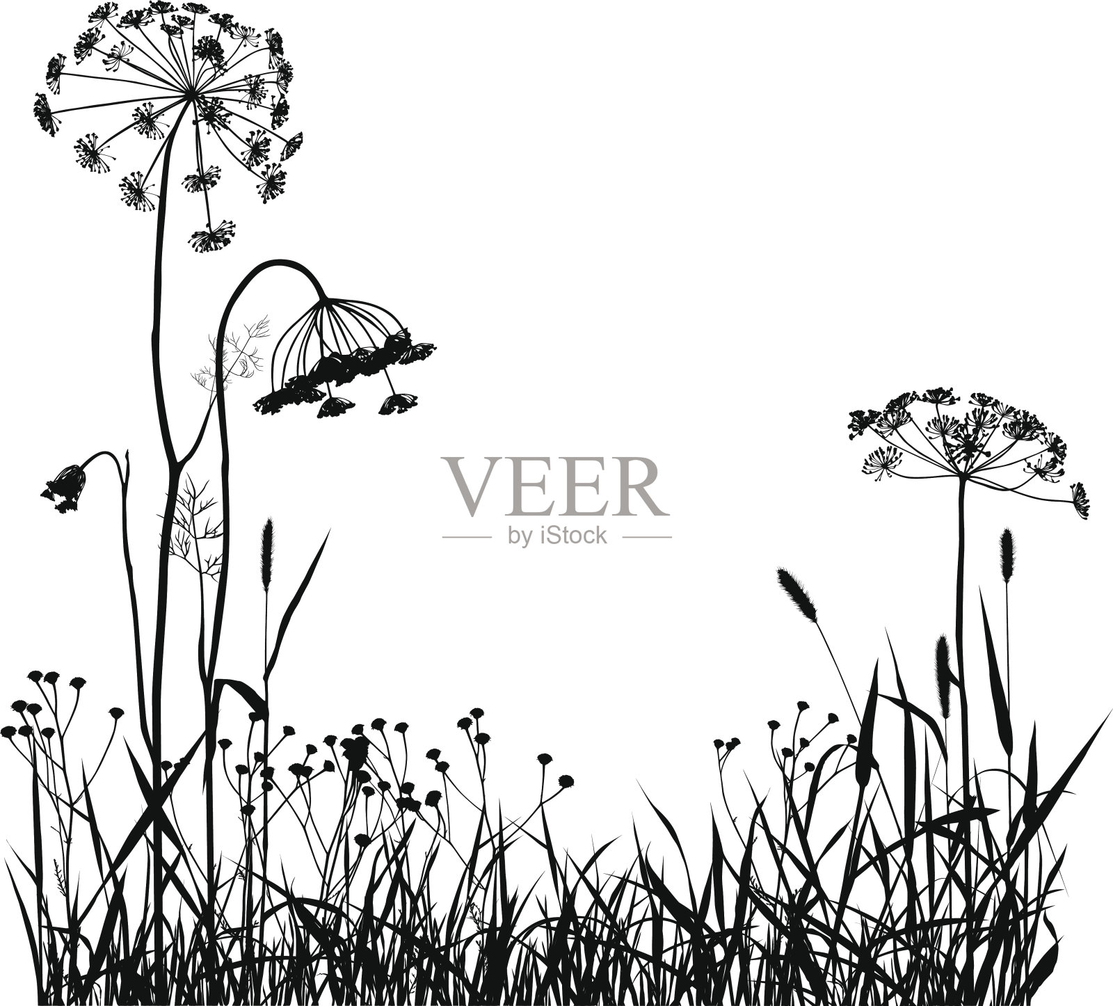 野生植物剪影插画图片素材