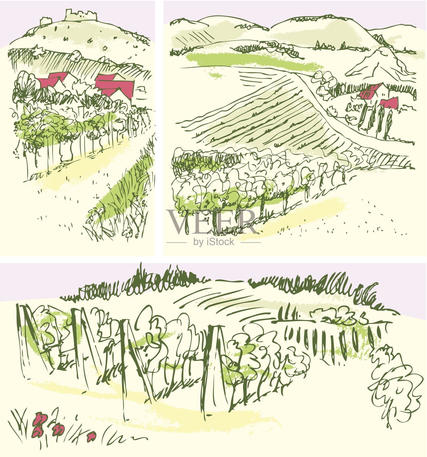 葡萄园与房地产插画图片素材