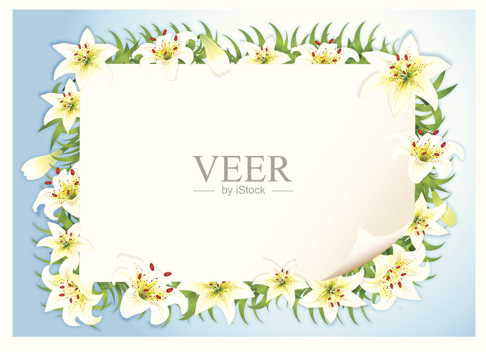 复活节百合插画图片素材