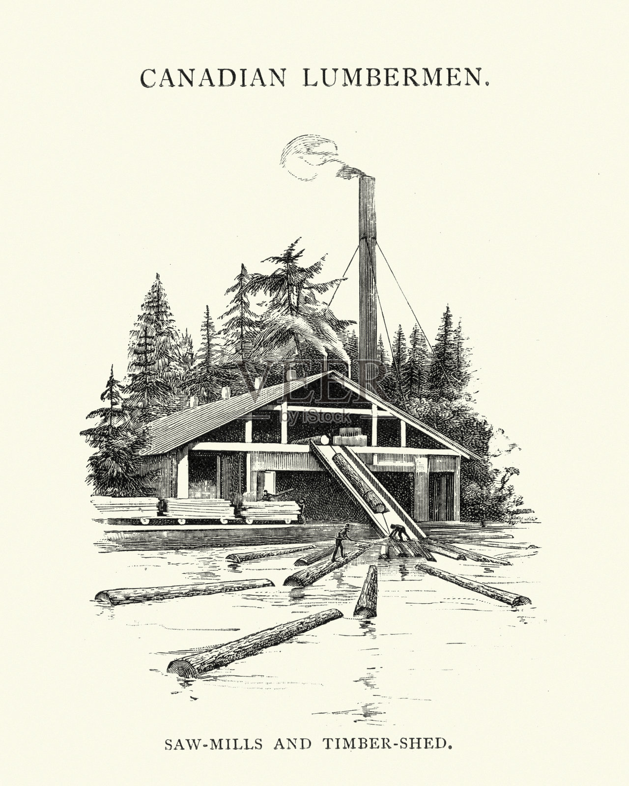 锯木厂和木棚,加拿大,19世纪插画图片素材