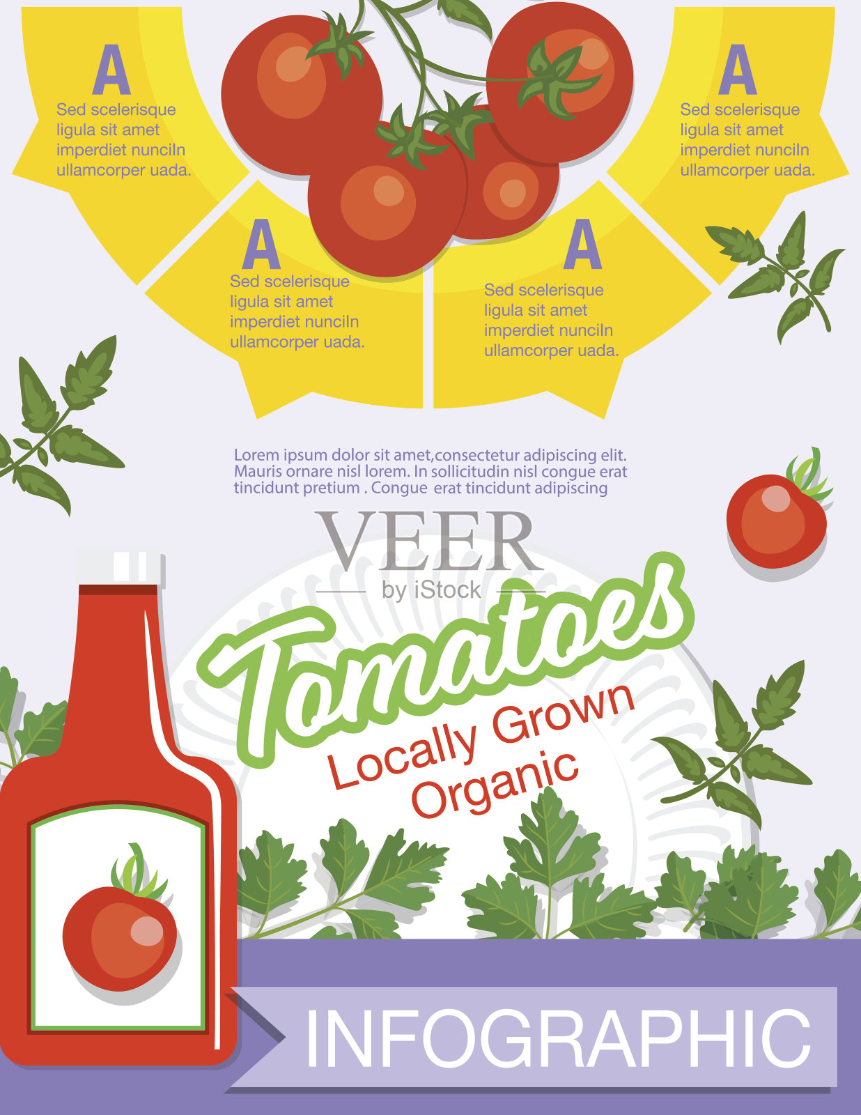 食物信息图-蔬菜插画图片素材