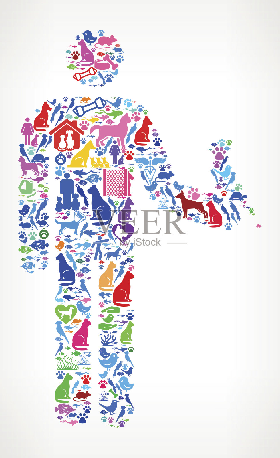 人和鹦鹉宠物和动物矢量图标背景插画图片素材