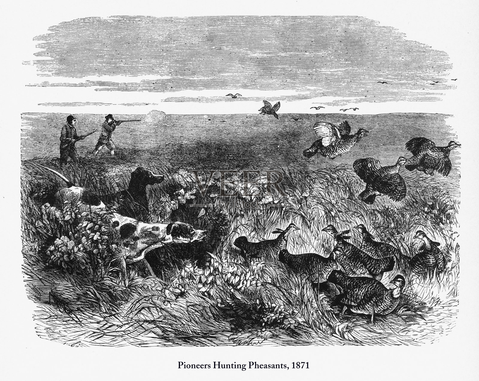 拓荒者狩猎雉鸡,早期美国雕刻,1871年插画图片素材