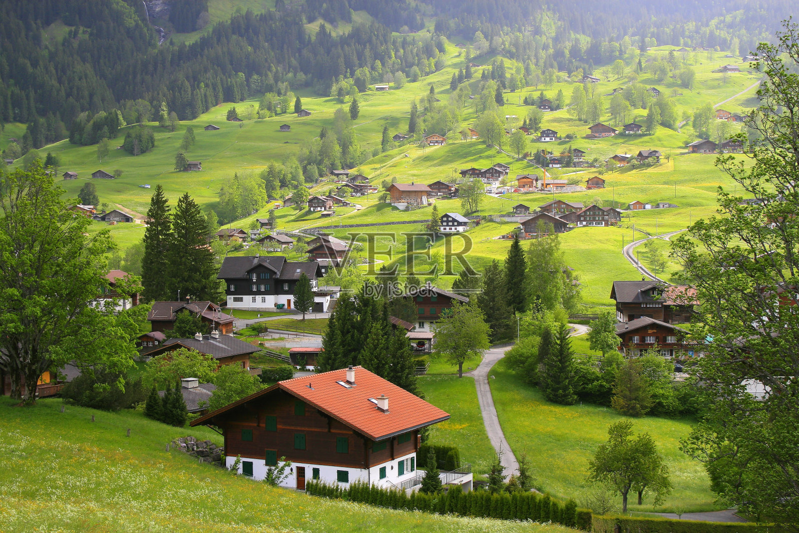 童话般的风景:上面的田园诗格林德沃阿尔卑斯村庄城市景观山谷和草地,戏剧性的瑞士雪盖Wetterhorn阿尔卑斯山,田园诗般的乡村,伯恩斯高地,瑞士阿尔卑斯山照片摄影图片
