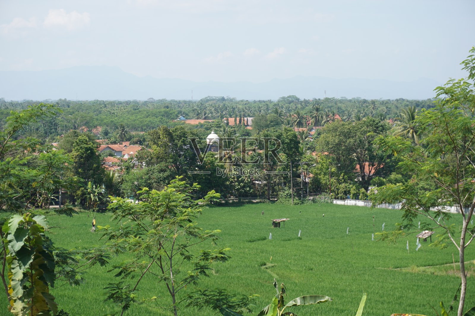 稻田风景照片摄影图片