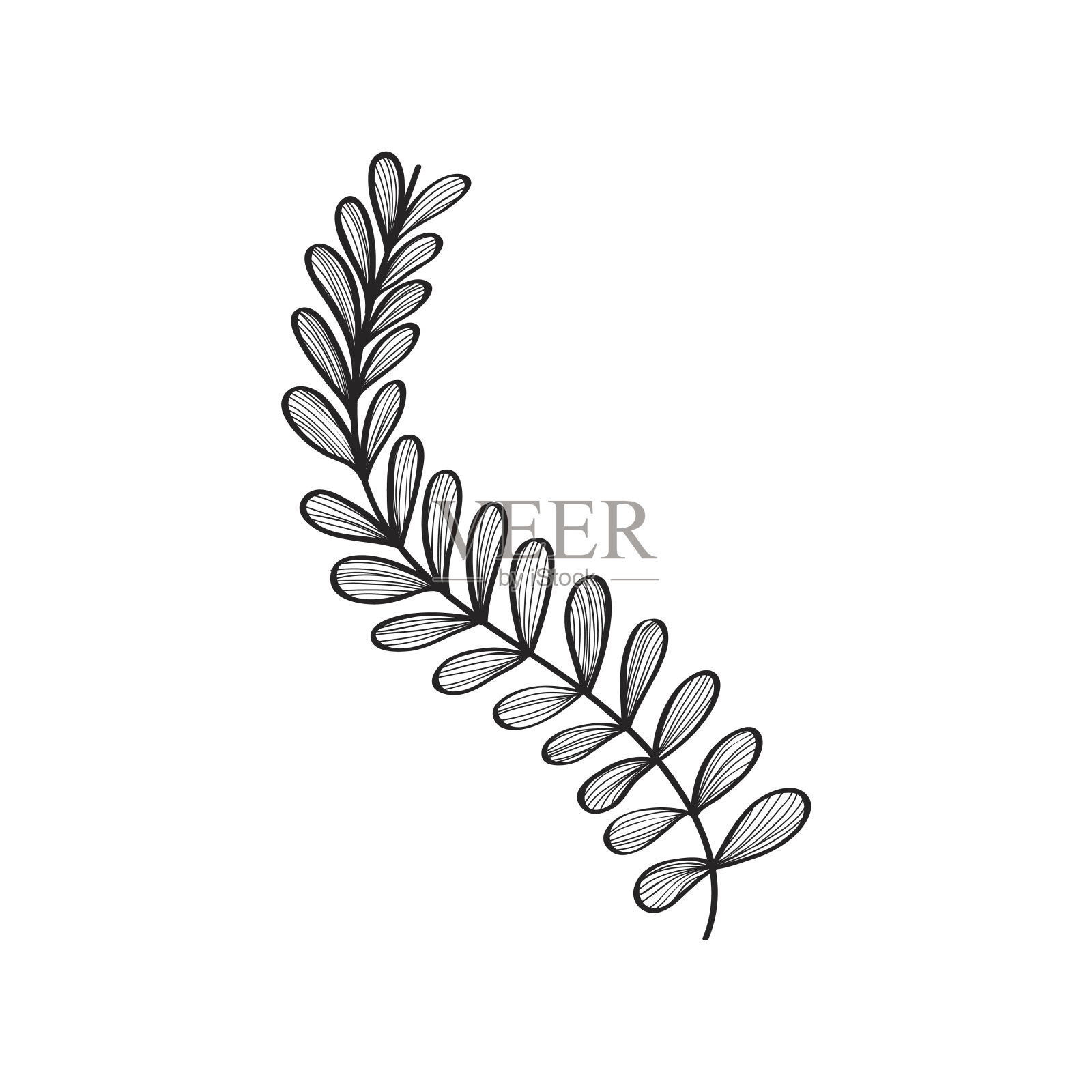 有叶的纯天然树枝植物设计元素图片