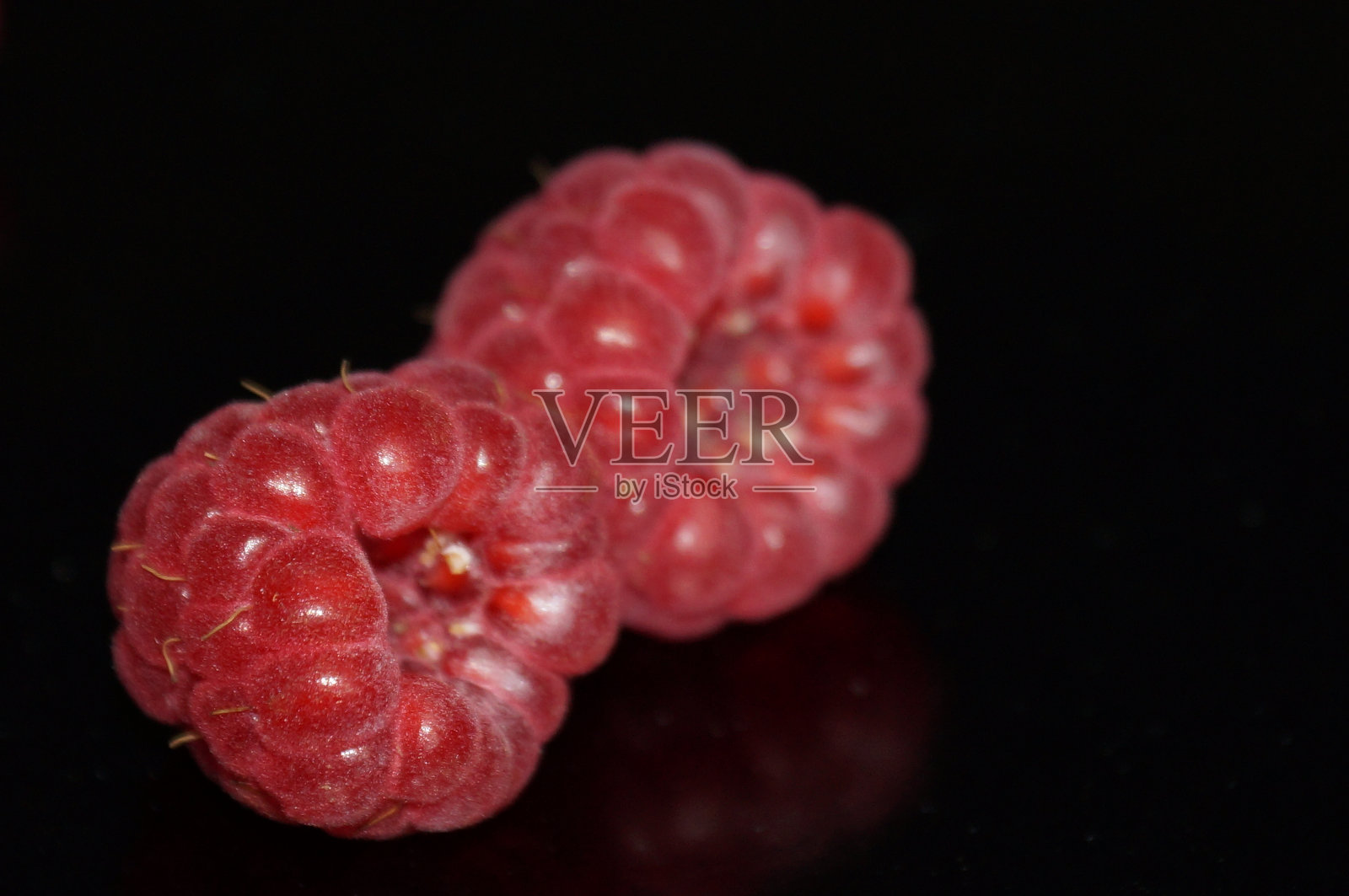 红莓照片摄影图片