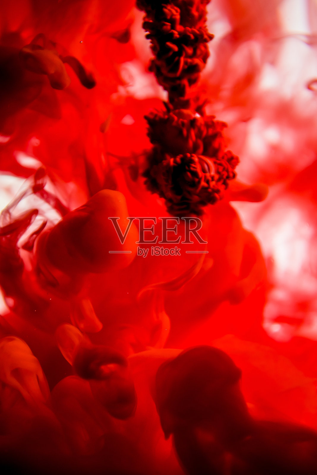 红墨水在水里孤立在白色背景上照片摄影图片