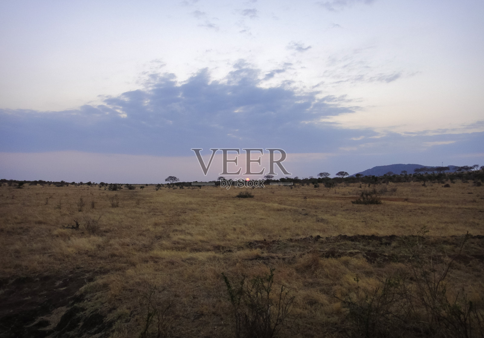 清晨的非洲大草原。肯尼亚的野生自然。非洲东部照片摄影图片