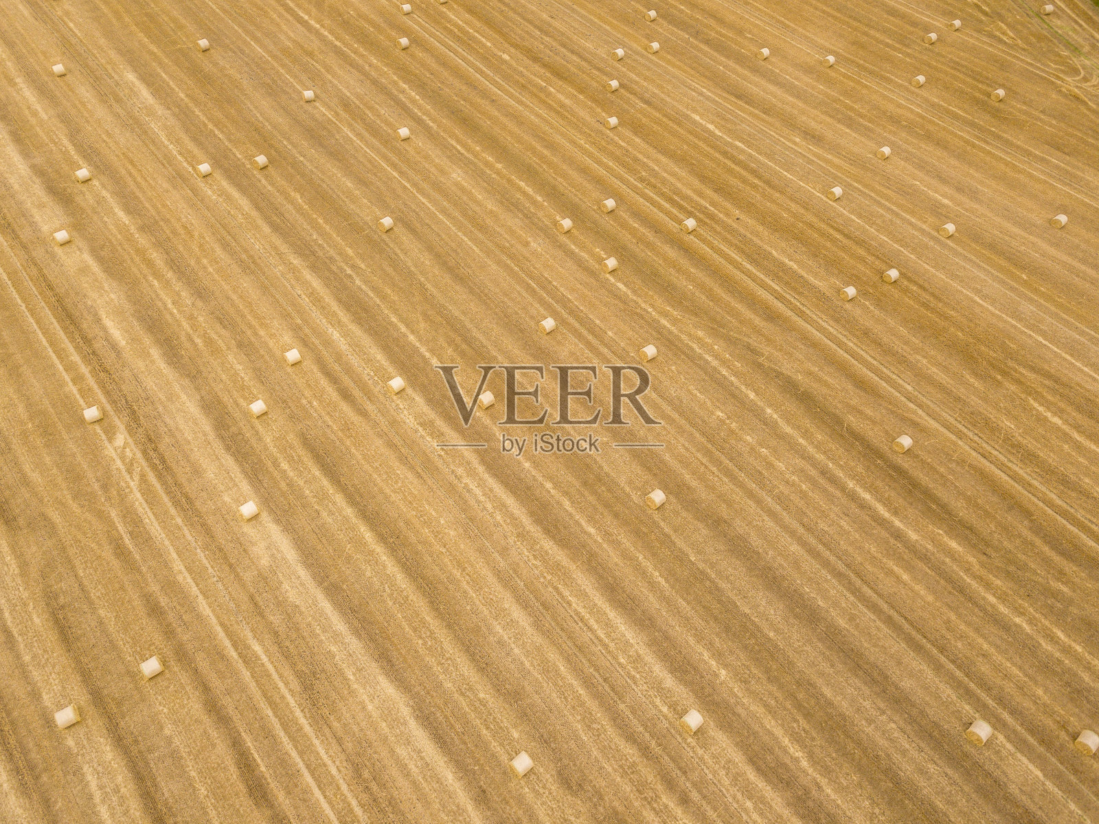 从高处俯瞰田野里的稻草捆照片摄影图片