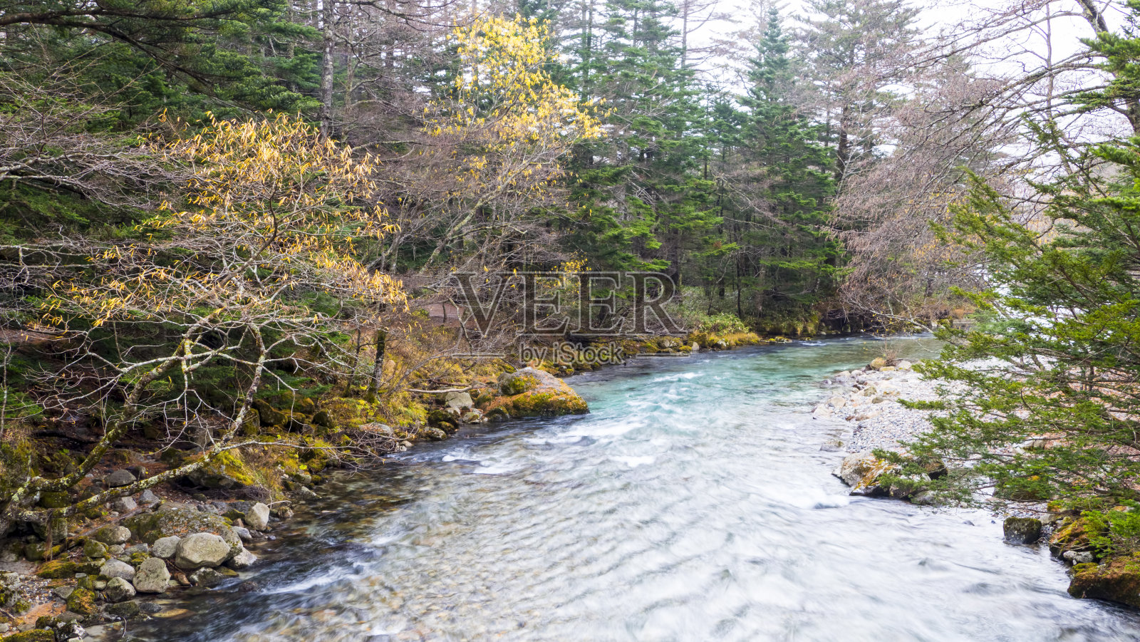 日本上高内国家公园的秋季照片摄影图片