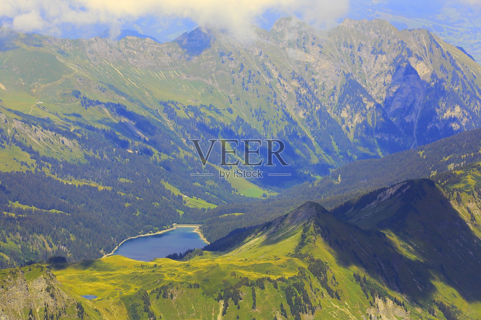 孤独的湖鸟瞰图附近的格施塔德和法里童话景观在鲜花盛开的春天:田园诗般的高山花床山谷和野花草地,戏剧性的瑞士雪山,田园诗般的乡村,伯恩斯高地,瑞士阿尔卑斯山,瑞士照片摄影图片