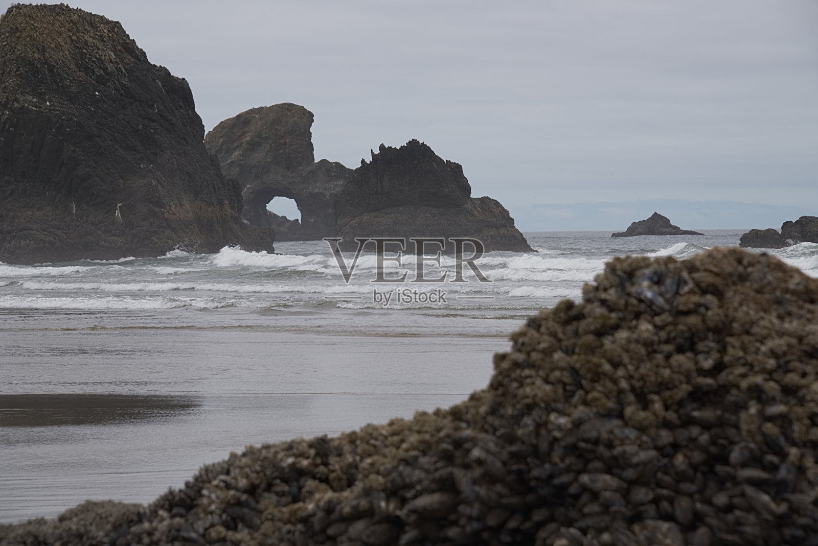 海栈H照片摄影图片