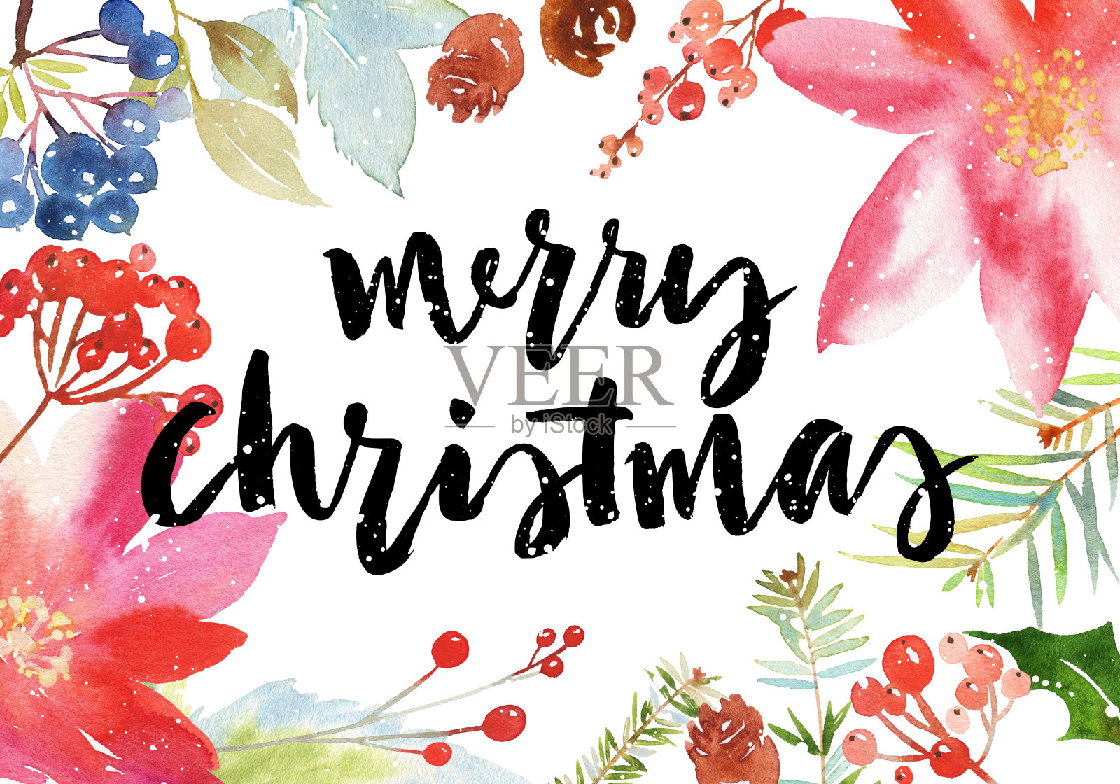 圣诞水彩画卡云杉和浆果插画图片素材