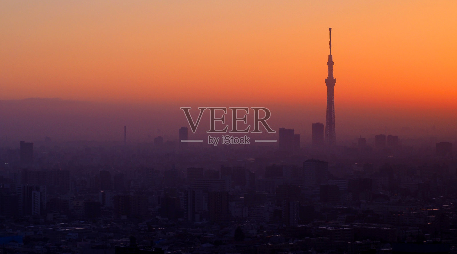 东京天空树建筑的剪影。照片摄影图片