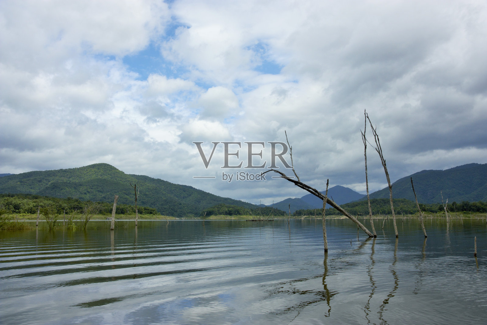 泰国Kanjanaburi省,水面上的木尸体和蓝天倒映着斯林那加林大坝的水面照片摄影图片