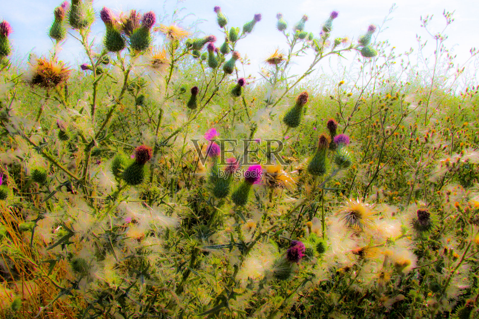 在乡村徒步旅行照片摄影图片