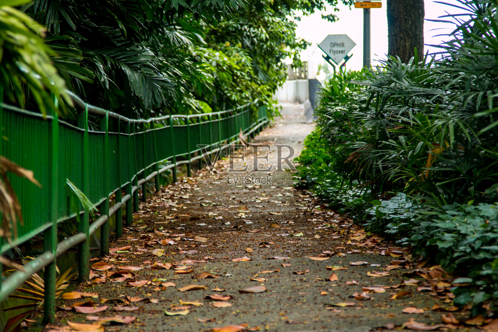 在一个阳光明媚的日子里,公园里的人行道。照片摄影图片