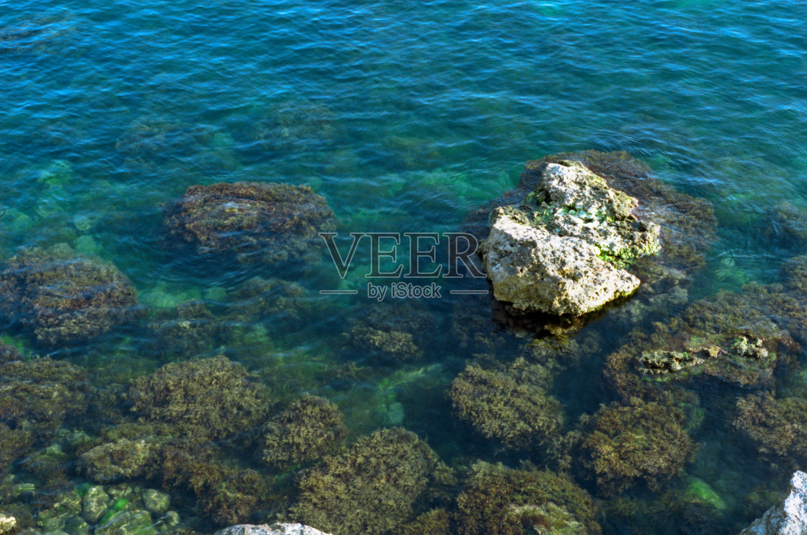 高角度查看海底。拍摄电影照片摄影图片