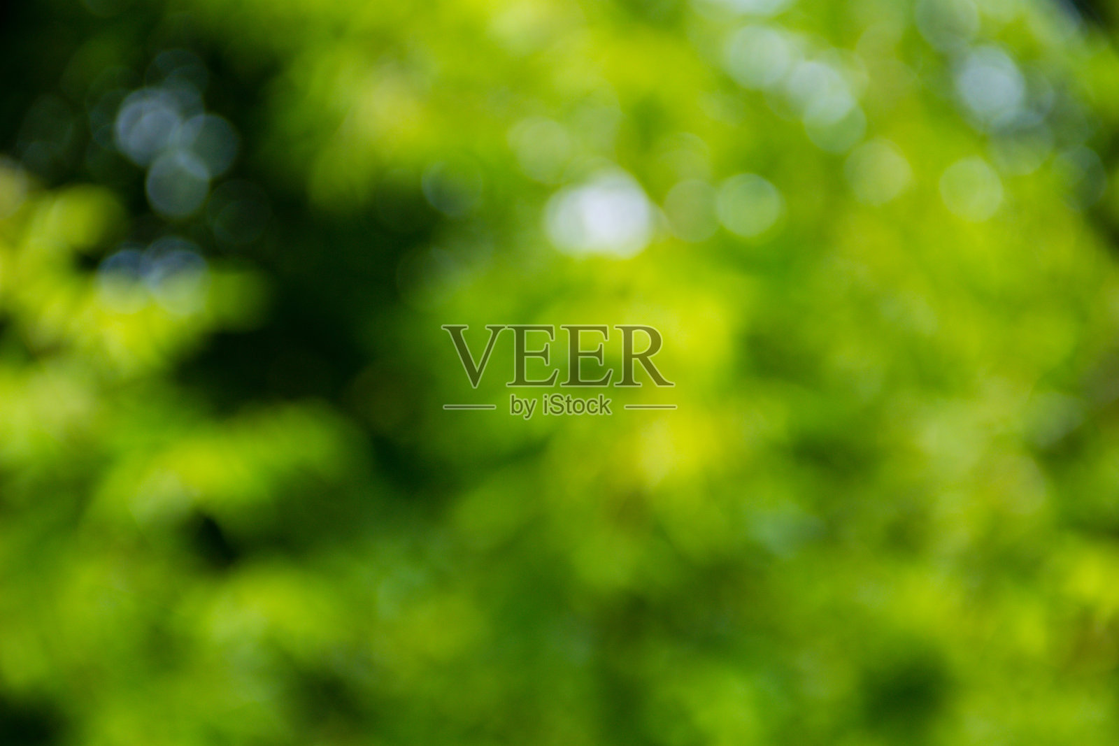 绿色自然模糊抽象背景照片摄影图片