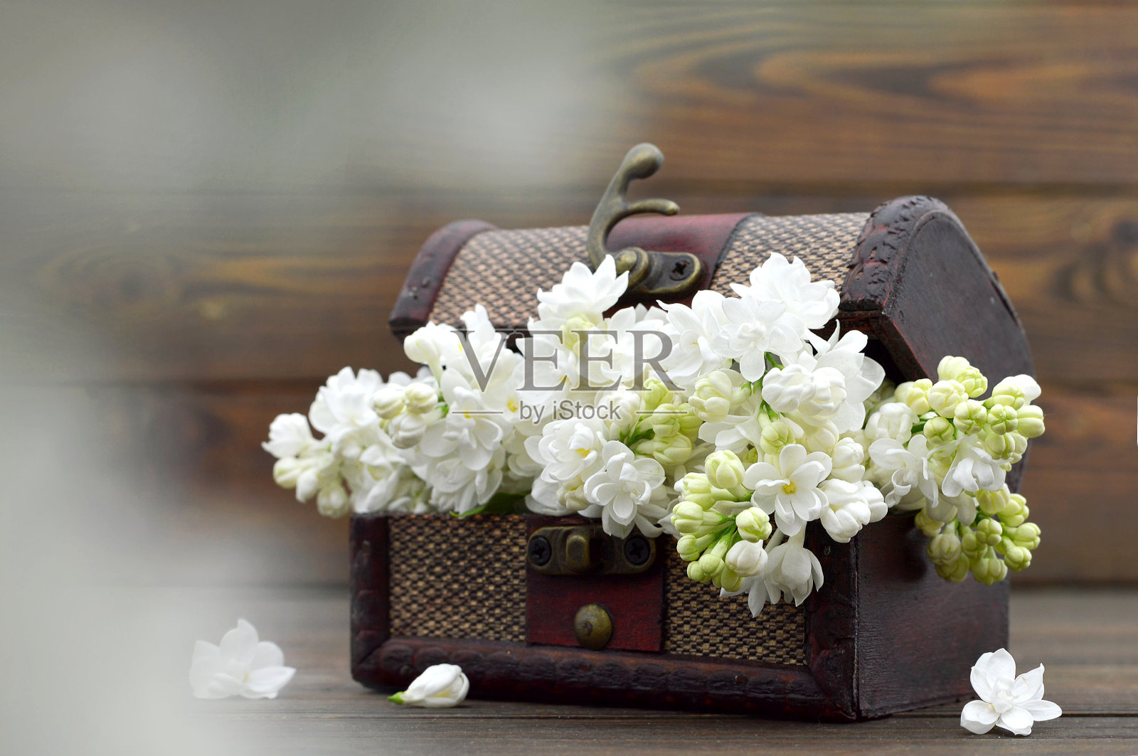 婚礼卡片:白色的丁香花在木制的背景照片摄影图片