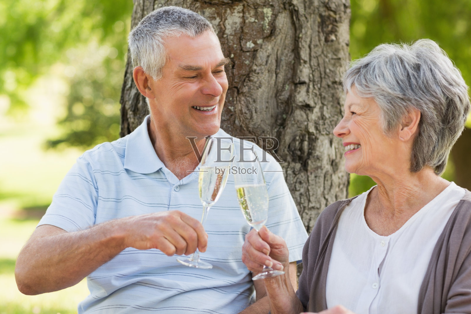 快乐的老夫妻在公园举杯互敬香槟照片摄影图片