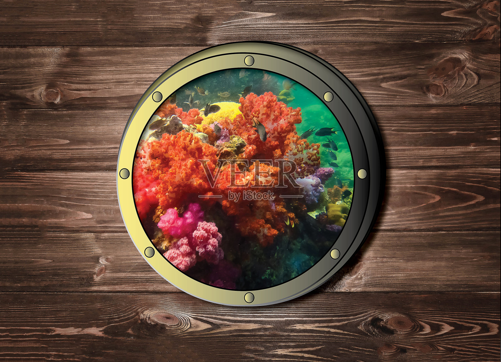 船窗与五彩缤纷的珊瑚礁在热带海洋,水下在热带海洋或大洋岛屿。照片摄影图片