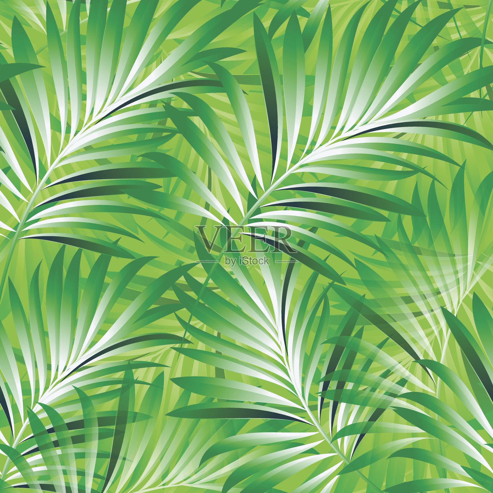 热带棕榈树的图案插画图片素材