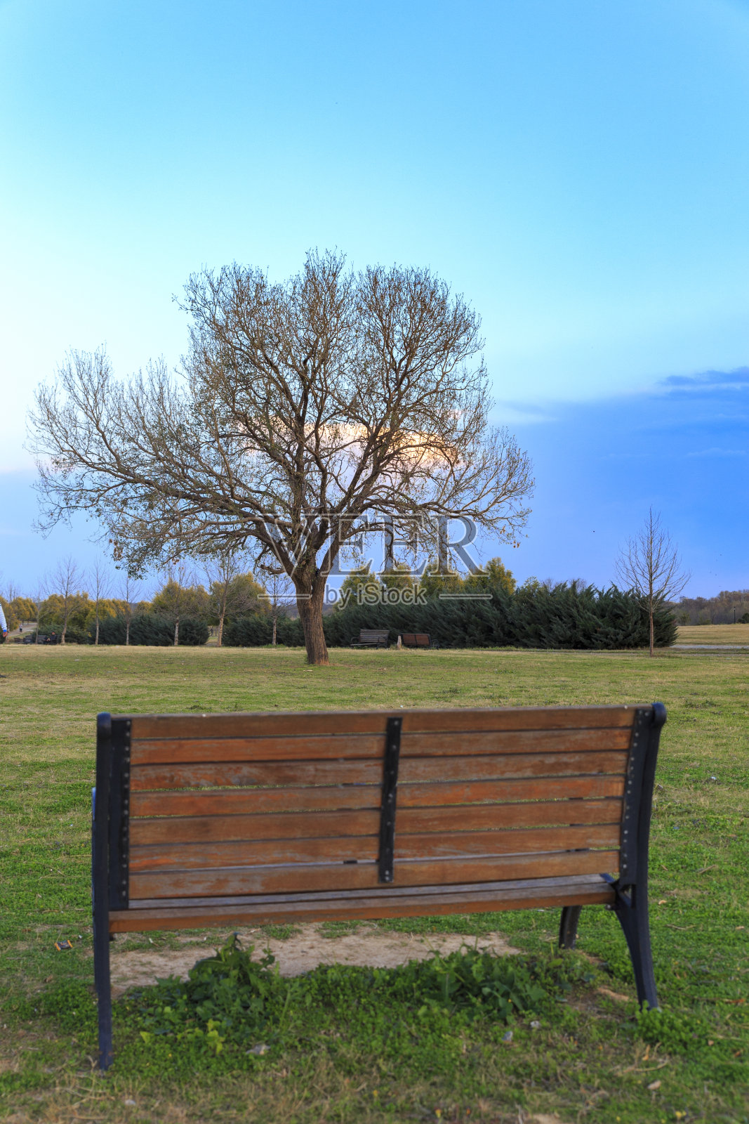 板凳上照片摄影图片