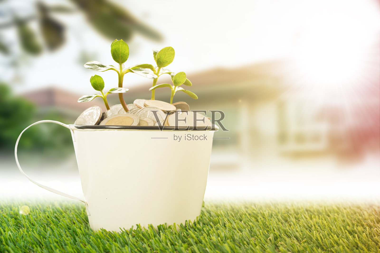 日益增长的业务照片摄影图片