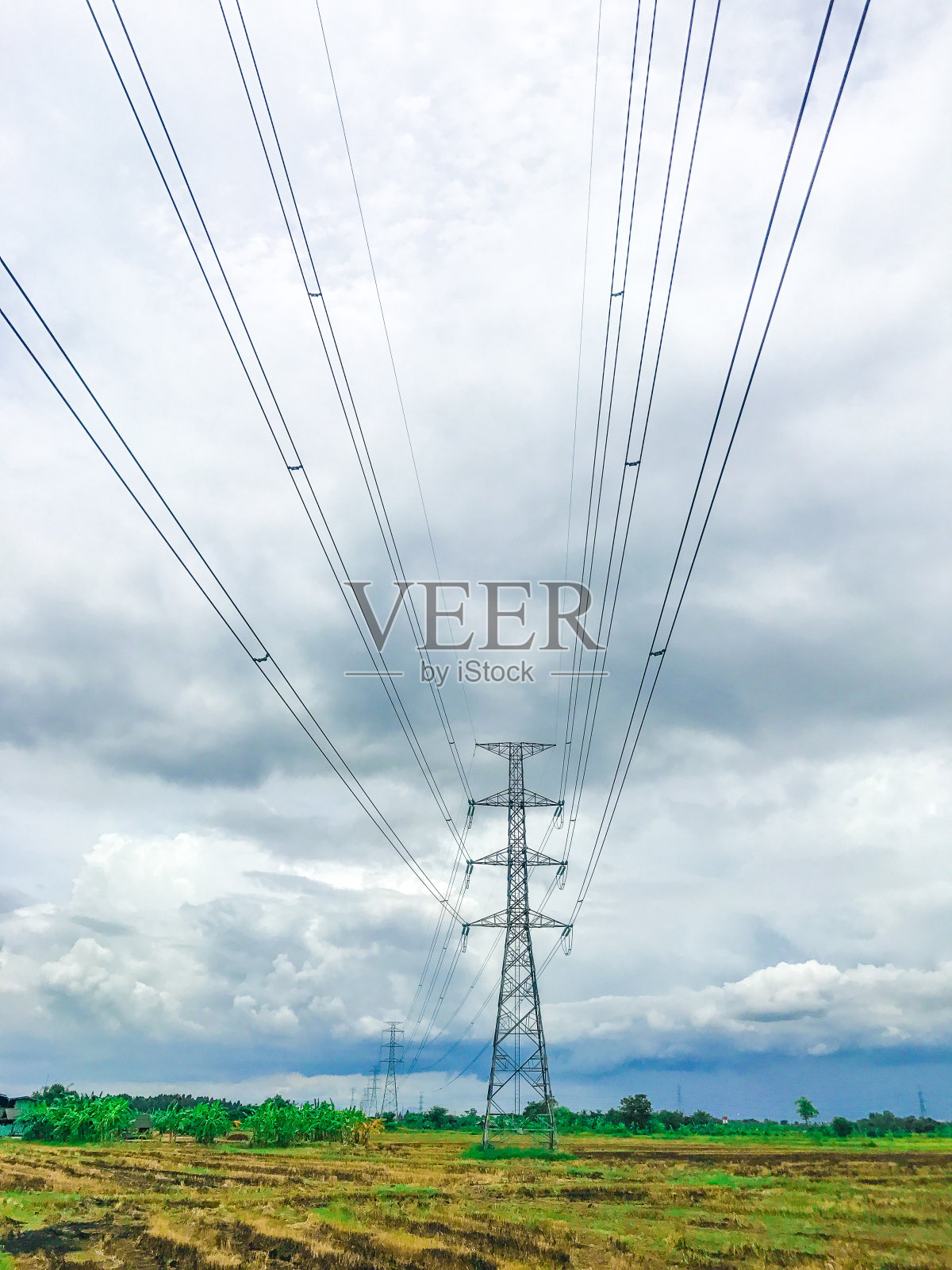 高功率的输电塔,自然的绿色和晴朗的天空。照片摄影图片