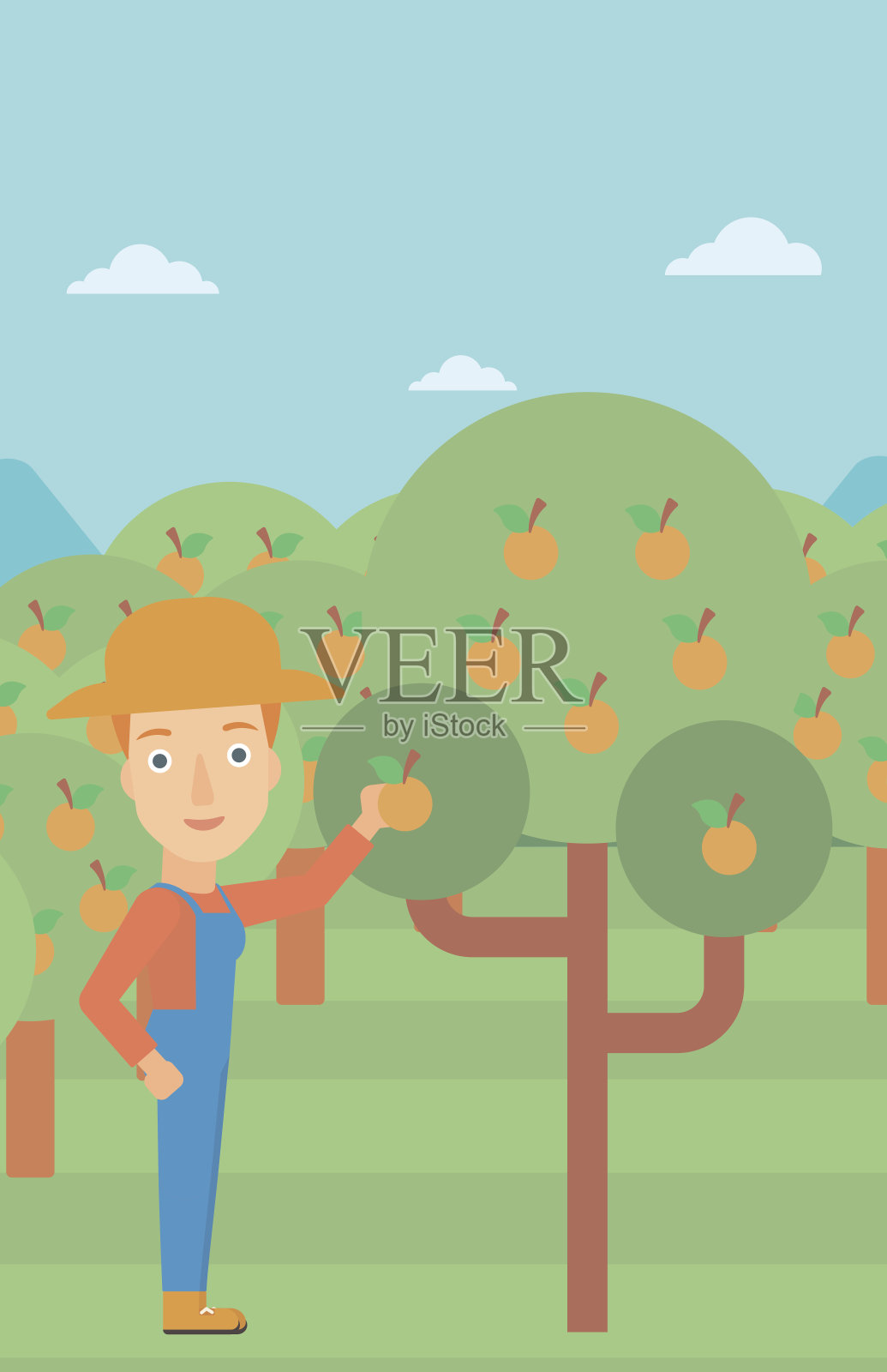 农民收集橙子插画图片素材