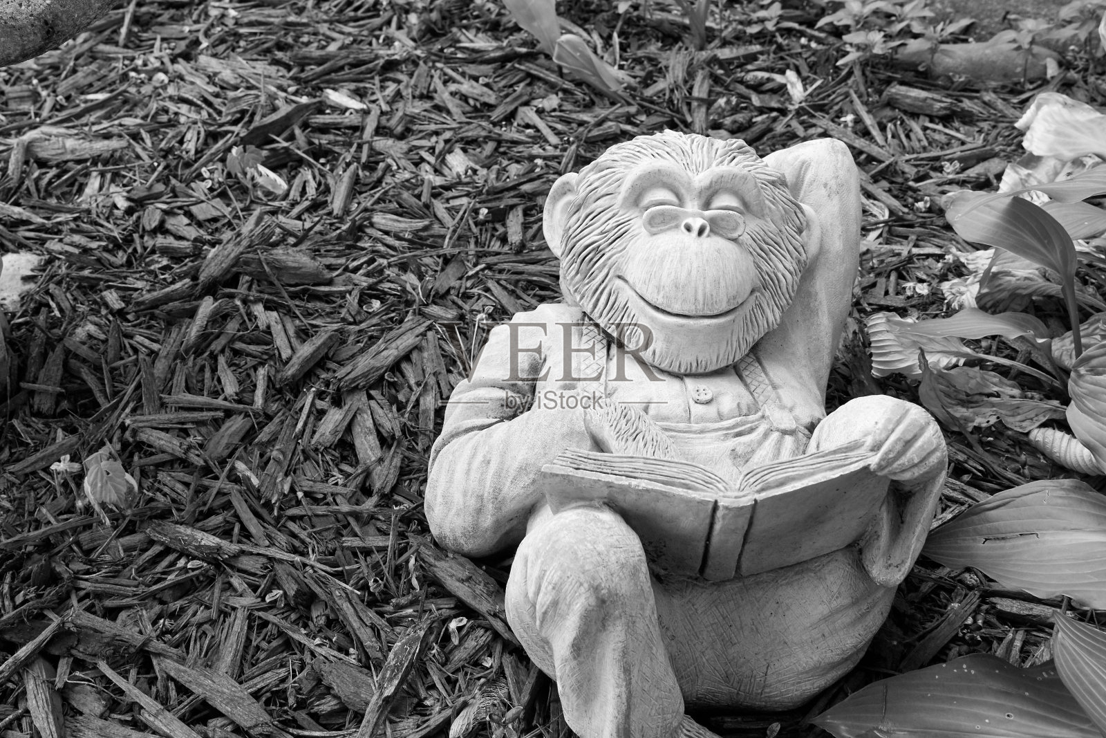 胡闹了照片摄影图片