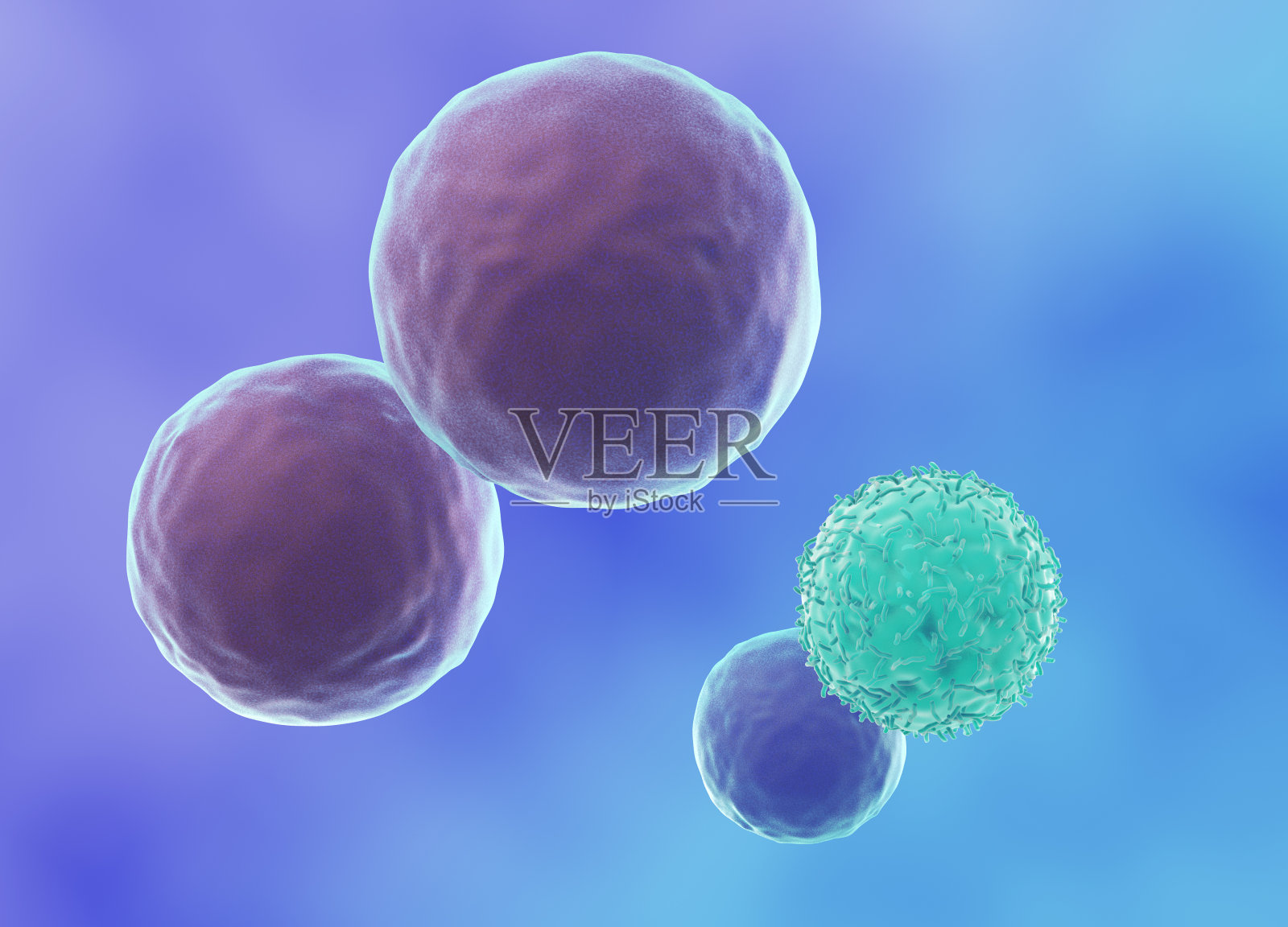 杀手t淋巴细胞接近癌细胞照片摄影图片
