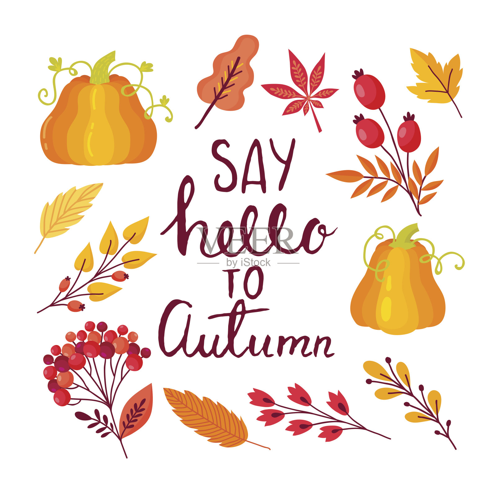 秋天的贺卡插画图片素材