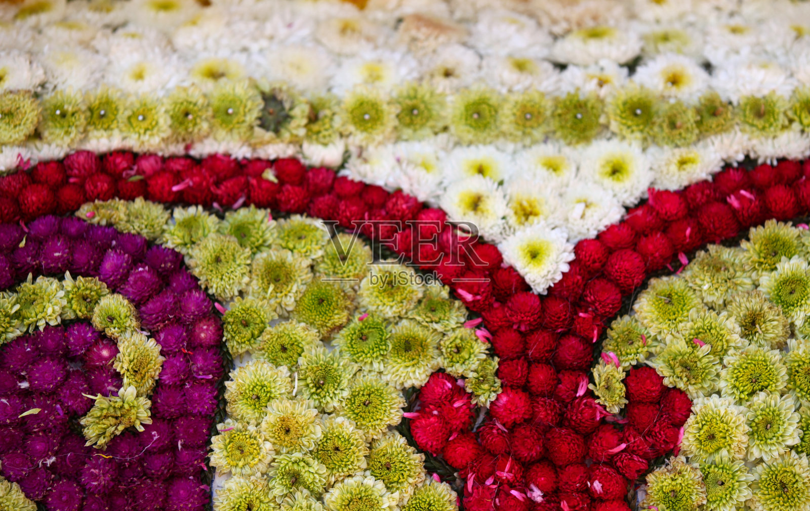 姹紫嫣红的鲜花,泰国照片摄影图片