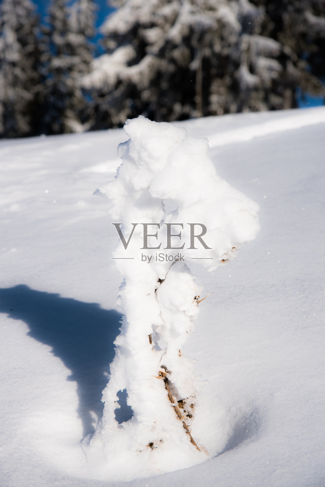 冬天的风景照片摄影图片